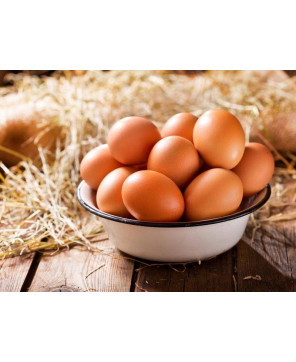 KOKOSZKA SMAKOSZKA GRANULAT PASZA DLA KUR NIOSKA PROVIMI 25 kg