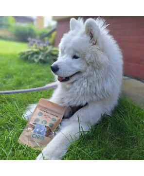 Bezzbożowa karma sucha CIRO z wieprzowiną 65% mięsa i ziemniakami 5KG