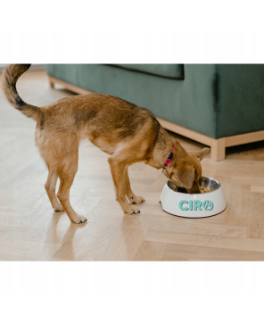 Bezzbożowa karma sucha CIRO z dziczyzną 60% mięsa i ziemniakami 5KG