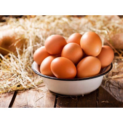 KOKOSZKA SMAKOSZKA SYPKA PASZA DLA KUR NIOSKA PROVIMI 25 kg